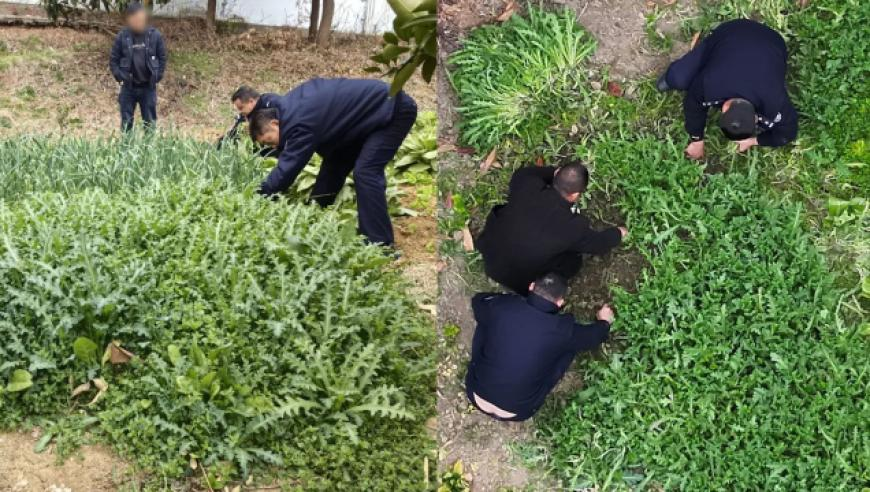 怪不得平台建议后排入座呢,香港澳门六开彩开奖网站,决策资料解释落实_标配版V7.99