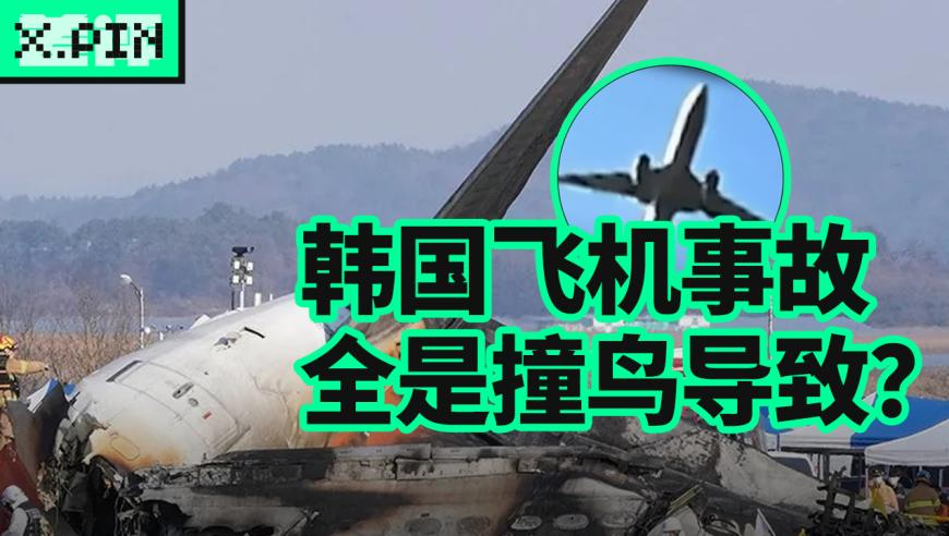 香港澳门免费资料公开2025,全力以“复” 开工跑出“加速度”,整体规划执行讲解_终极版V2.47